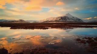 What Is Oled Tv? Lg Oled Tv Is A Whole New Category Of Television