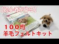 【100均フェルトキット】初心者がはじめて作る羊毛フェルトキット「プードル」