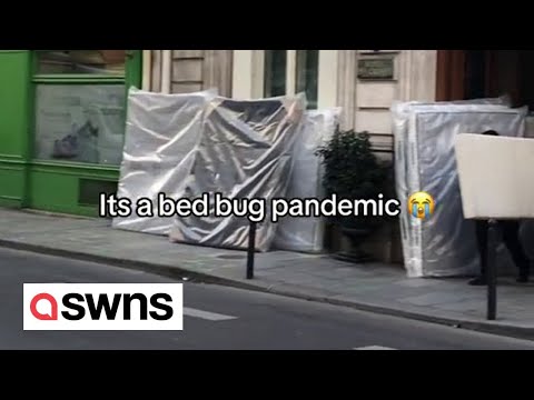 Paris street littered with discarded mattresses due to bedbug epidemic | SWNS