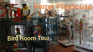 How to Set Up a Bird Room in Your Home | Parrot Care