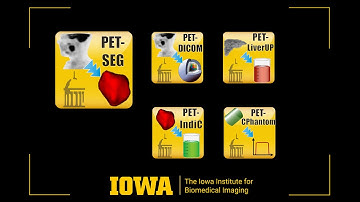 PET Tumor Segmentation Extension (2022)