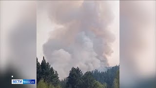 Лесной пожар в районе Майнской ГЭС удалось потушить