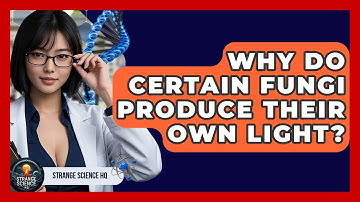 Why Do Certain Fungi Produce Their Own Light? - Strange Science HQ