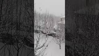 #snowfall #kinnour #himachalwheather #travel #shorts #short