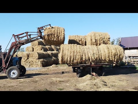 Шөп тасу - YouTube