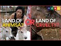 India the land of ahimsa official documentary