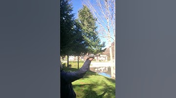 #support #drone #insta360x3 #video #air2 #crash #hiperlapse #subscribe #air2s #tramonti #fpv