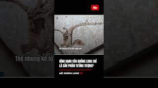 Hình Dạng Của Khủng Long Chỉ Là Sản Phẩm Tưởng Tượng?