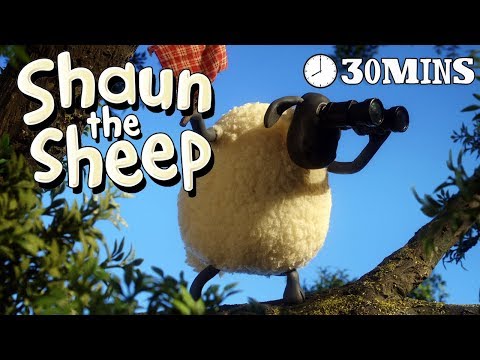 Shaun the Sheep - Season 3 - Episodes 11-15 [30 MINS]