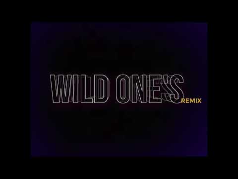 Kng Ego   Wild Ones remix