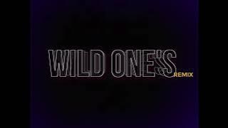 Kng Ego - Wild One's 'remix'