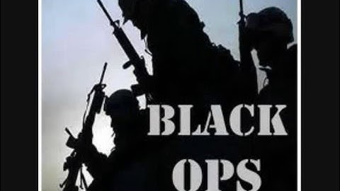 black ops guns and perks