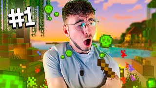 ON OUVRE LE SERVEUR MINECRAFT !! (c'est une dinguerie... 🤣😂) #1