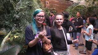 The Butterfly Palace in Branson will Drive You Buggy | Sir Willow's Park Tales