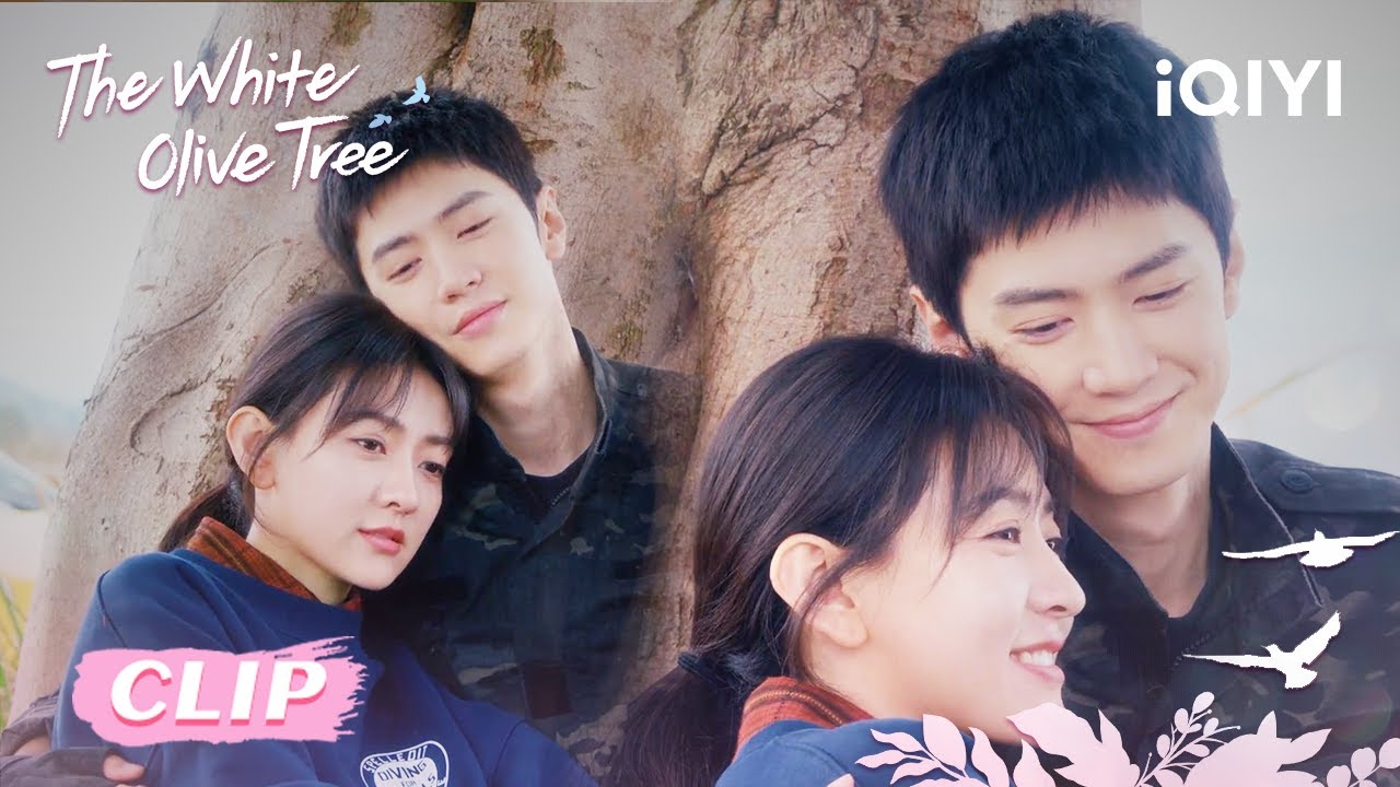 CLIP: Song Ran sneaks a kiss on Li Zan! 😘💓 EP33&34｜The White Olive Tree ...