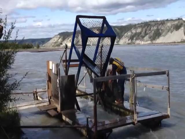 Three Fishwheels of the Rampart Rapids, Yukon River, Alaska 2018 - Stan  Zuray 