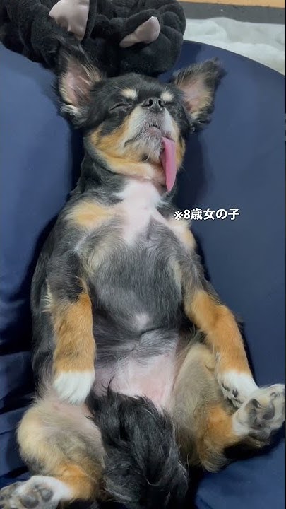 食べることが好きなんです Youtube