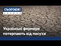 На Сході та Півдні України настала посуха