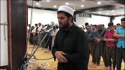 القارئ دلشاد احمد الكردي (سورة الانفطار)تلاوة هادئة