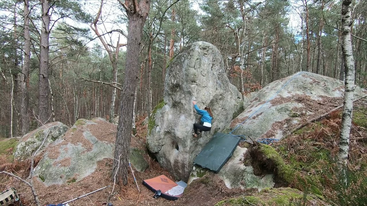 Profil de Carrière - 7B+