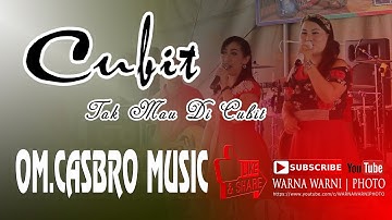 Cubit Tak Mau di Cubit #NellyAgustin || OM.CASBRO MUSIC || WARNAWARNI || Desa Lalan
