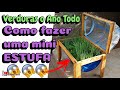 Como Fazer Estufa com Tambor de 200 Litros😱🥕😱🥦😱🍓😱