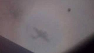 Plane Shadow on Clouds
