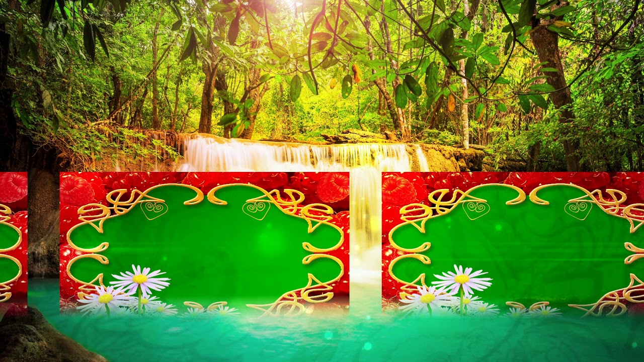 new wedding green screen free for all 156 YouTube