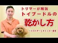 【愛犬の乾かし方】トリマーが解説 トイプードルの乾かし方【帝塚山ハウンドカム】