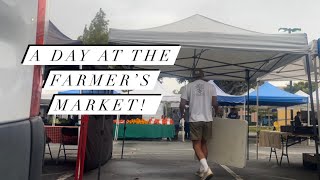 Day in the Life of a Mushroom Farmer: Selling at the Farmers Market!