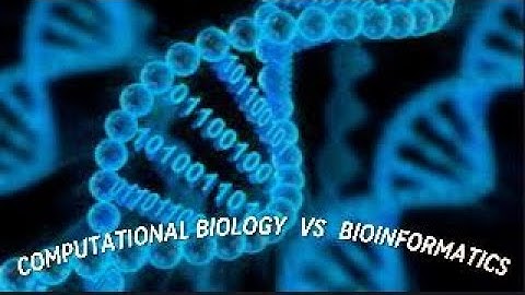 COMPUTATIONAL BIOLOGY VS BIOINFORMATICS