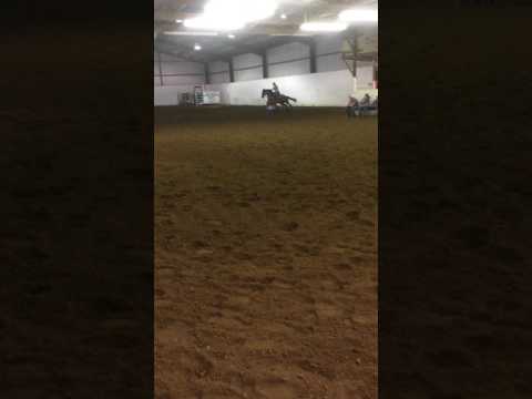 IMG 24581