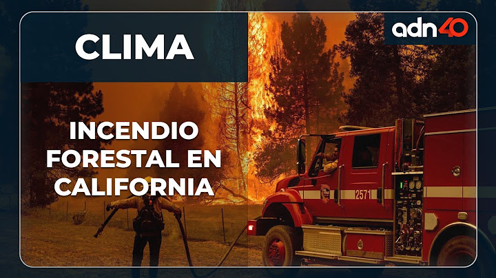 ¡Devastador! Incendio forestal en Oak, California arrasa con todo