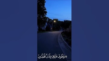 ﴿عَيْنًا فِيهَا تُسَمَّى سَلْسَبِيلًا﴾(سورة الإنسان، الآية 18)  #قرآن #اجر #هدوء