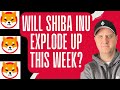 Shiba inu price prediction update  best crypto to buy now