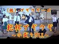 株 ブギウギーズ 乾杯ブギウギ 小盛りMIX 株 ブギウギーズ 乾杯ブギウギ 小盛りMIX