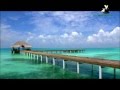 Maldives paradise relaxing video - Maldives beautiful nature - Beautiful morning sunrise.