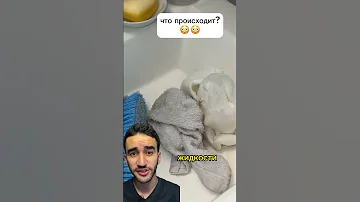 жесть паук спратался в ухе