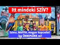 Évfordulót ÜNNEPLÜNK a világ szivarfővárosában YBOR CITY-ben! Magyar a KUBAI SZIVAR? /Polgarnet