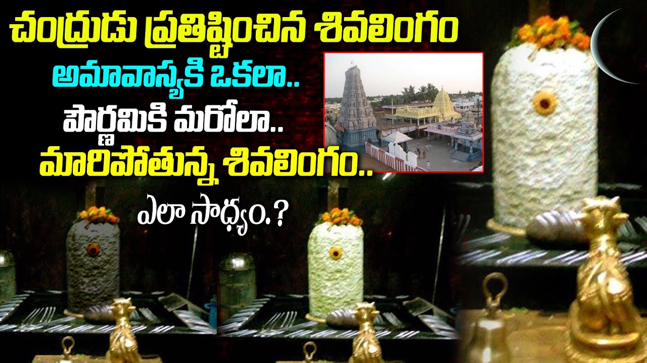 Unknown and Interesting Facts About Uma Someswara Swamy Temple | Bhimavaram | Tollywood Nagar