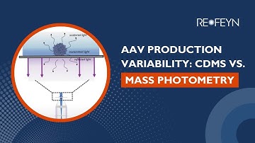 Assessing AAV Production Variability: A Mass Photometry & CDMS Comparison