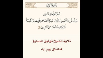 تلاوة الشيخ توفيق الصايغ من سورة الزمر