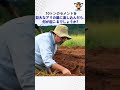 10トンのセメントを巨大なアリの巣に流し込んだら、何が起こるでしょうか