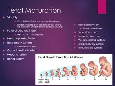 वीडियो: भ्रूण के विकास के लिए आनुवंशिकी का क्या महत्व है?