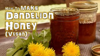 How to make EASY Dandelion Honey (Vegan) by The Northwest Forager 10,697 views 1 year ago 4 minutes, 36 seconds