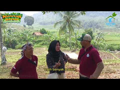 0857-7900-9800 | TANAH MURAH DI BOGOR VIEW PEGUNUNGAN NUANSA ALAM AGROEDUWISATA