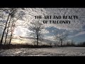 The art of falconry