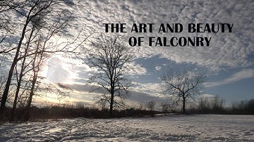 The "Art" of Falconry