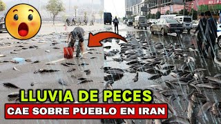 IMÁGENES IMPACTANTES, LLUVIA DE PECES CUBRE LAS CALLES DE IRAN, ESTÁN POR TODAS PARTES, NO ES NORMAL