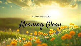 Morning Glory, Relaxing Zen Music, Calming Music, Spa, Peaceful Sleep, Stress Relief, Healing
